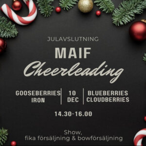 Välkommen på julavslutning!
